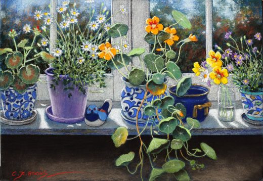 Flowering plants on a windowsill. 