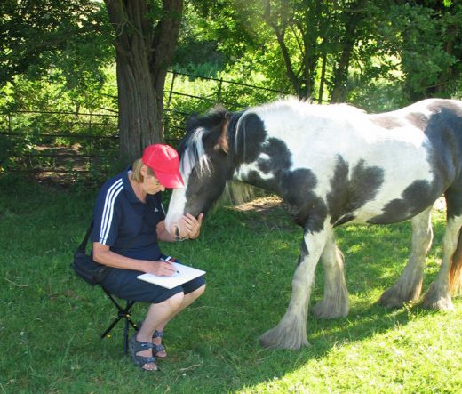 A large horse distracts an artist's work.