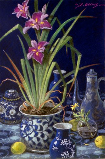 Flowering irises accompany blue and white china.