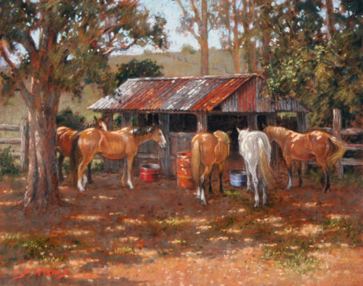 Several horses wait in the shade.