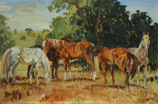 Five horses are shown in front of a grove of trees.
