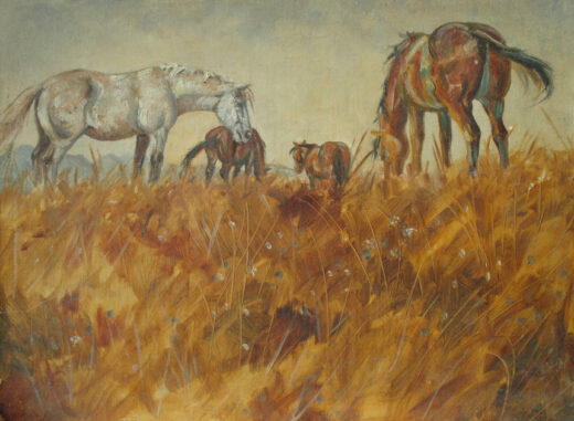 Four horses in a field of long grass.