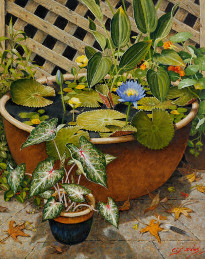 Waterlilies and water poppies flower in this ceramic bowl.