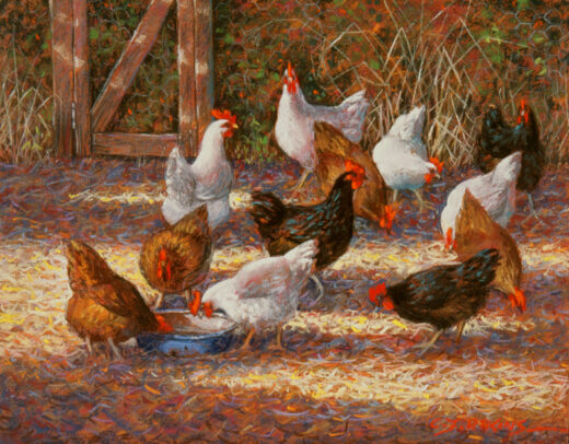 Several chickens drink water out of an old enamel container. Others are busily engaged scratching among the straw.
