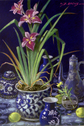 A blooming potted iris is accompanied by several pieces of china including a slender coffee pot. 