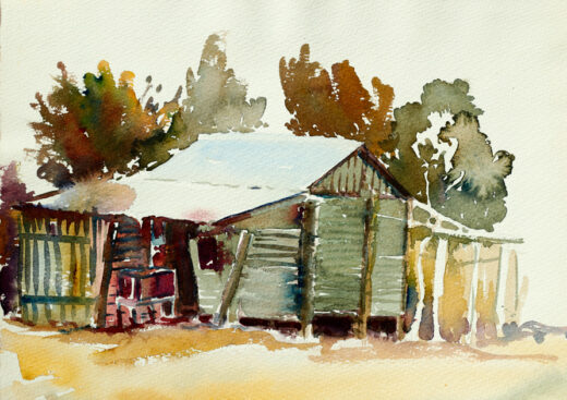 This watercolour is of a rickety old shed leaning slightly towards the viewer.