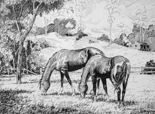 Two horses grazing in a typically Australian field, with log fences and a small house in the background.