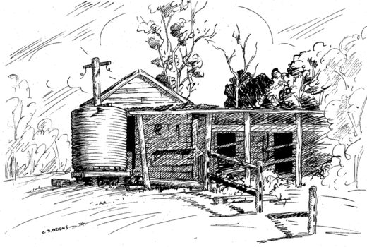 A bush hut with a tank for collecting rainwater. Probably abandoned now, but in previous times it had been connected to the electricity supply.