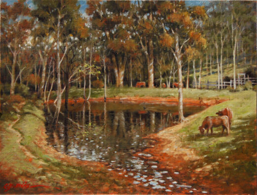 A tranquil dam set among the trees, with cattle grazing, a typical Queensland landscape.